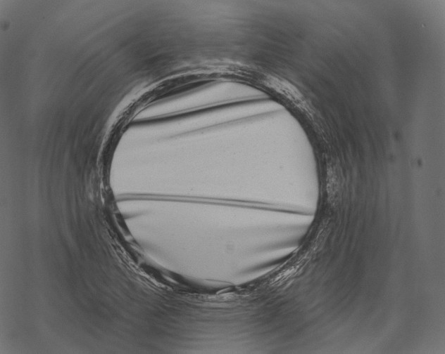 X0000067901172200605041610