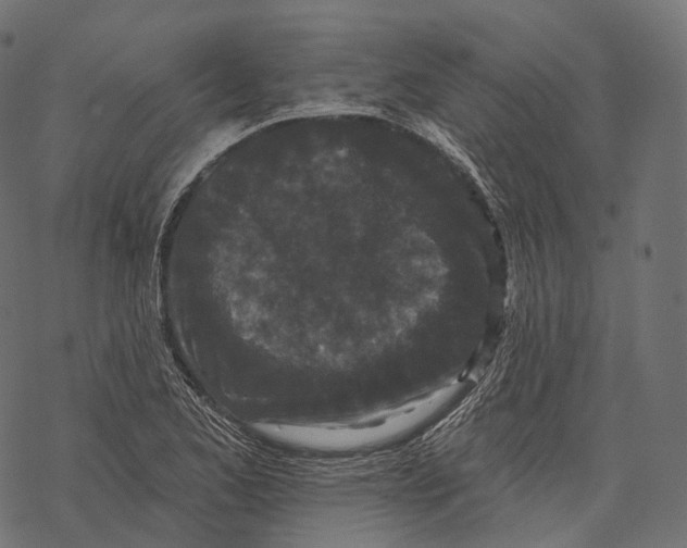 X0000067901173200605041610