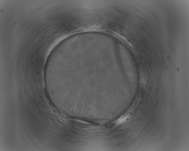 X0000067901174200605041610