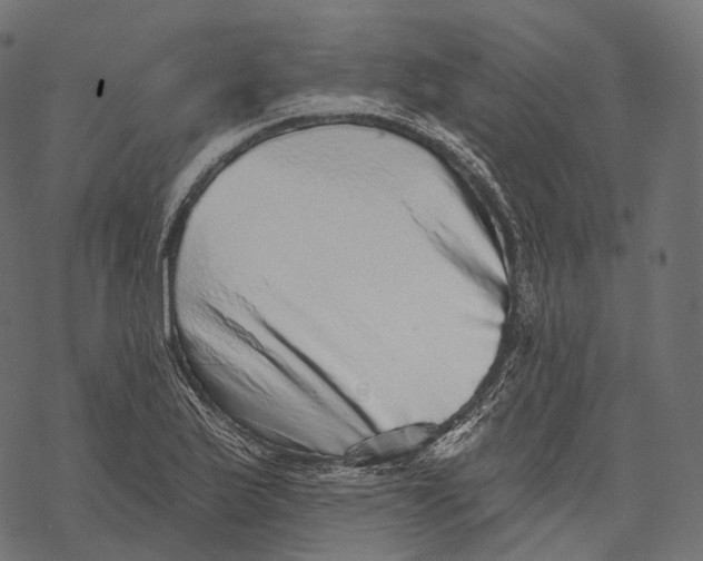 X0000067901175200605041610