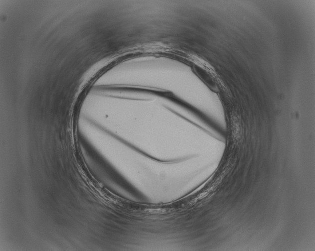 X0000067901176200605041610