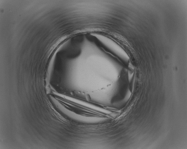 X0000067901177200605041610