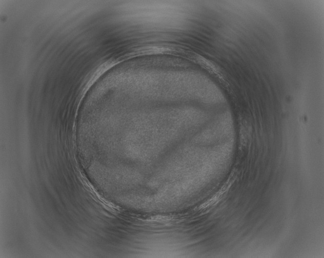 X0000067901178200605041610