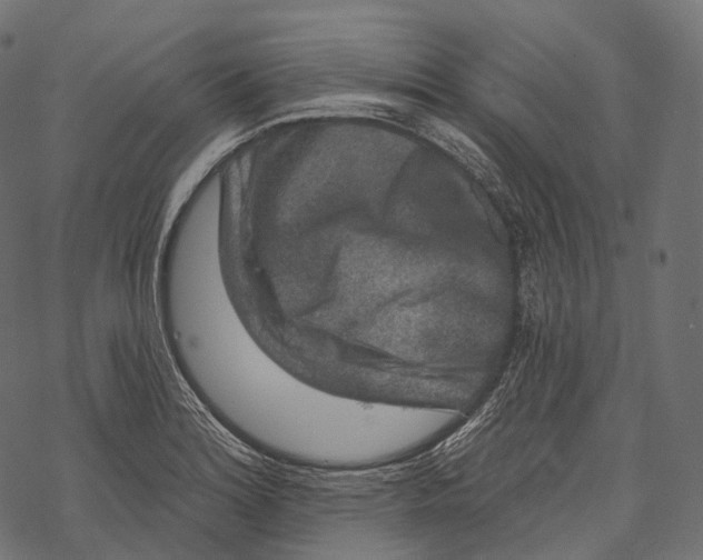 X0000067901180200605041610