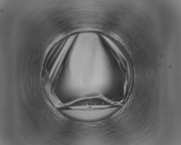 X0000067901181200605041610