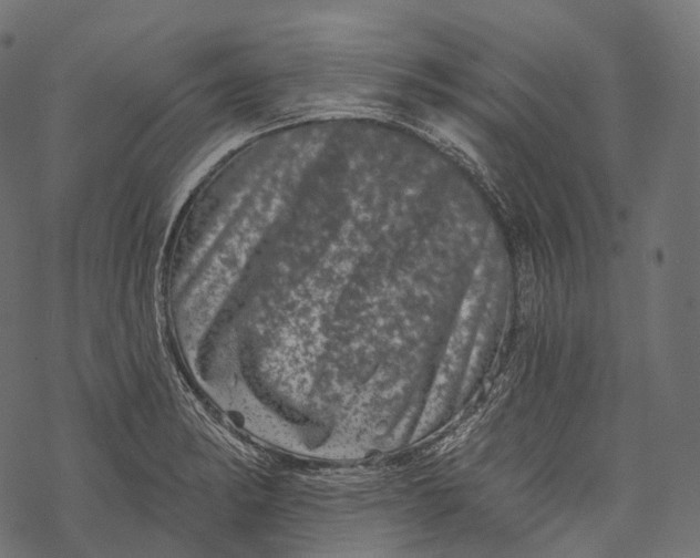 X0000067901182200605041610