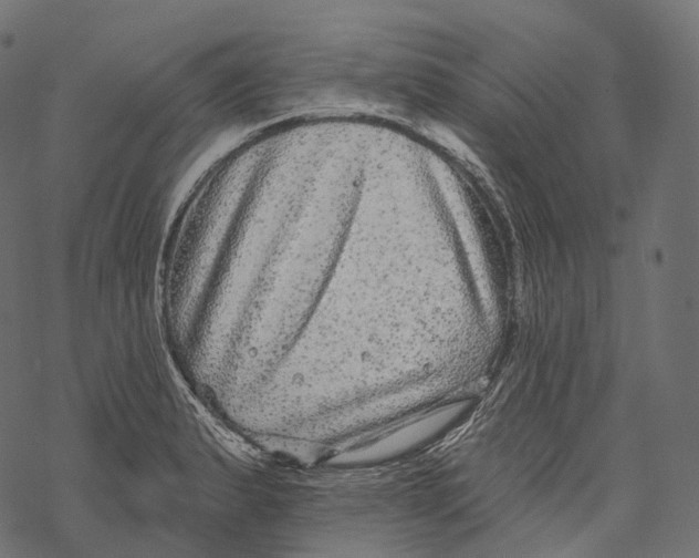 X0000067901183200605041610