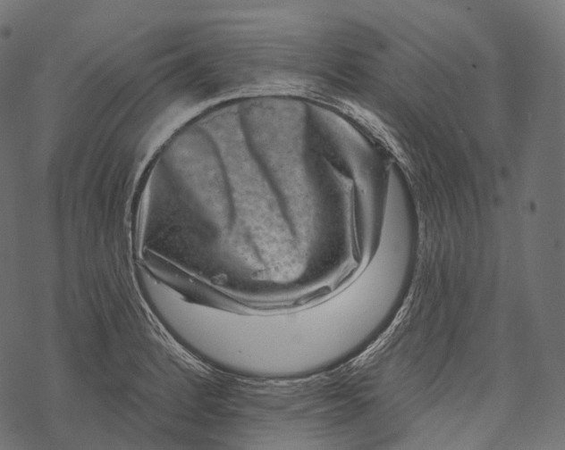 X0000067901184200605041610