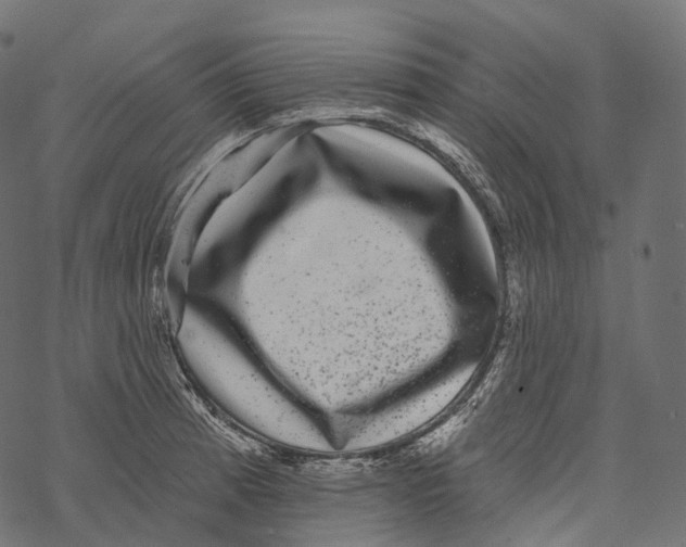 X0000067901185200605041610