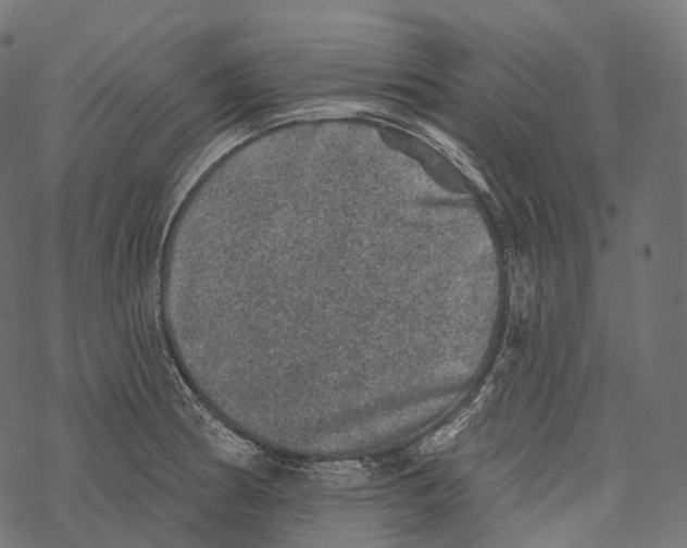 X0000067901186200605041610