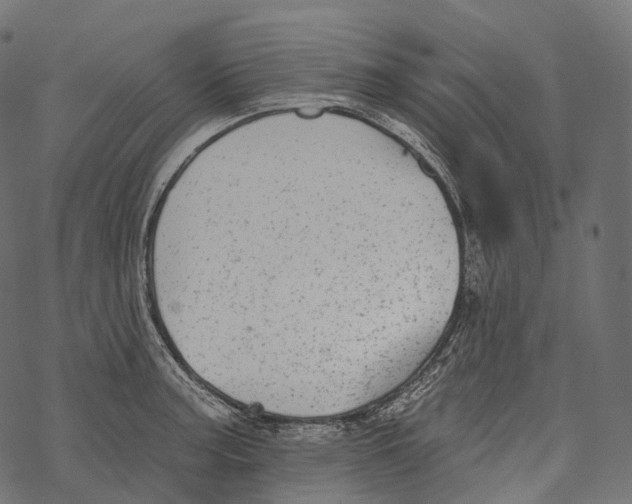 X0000067901187200605041610