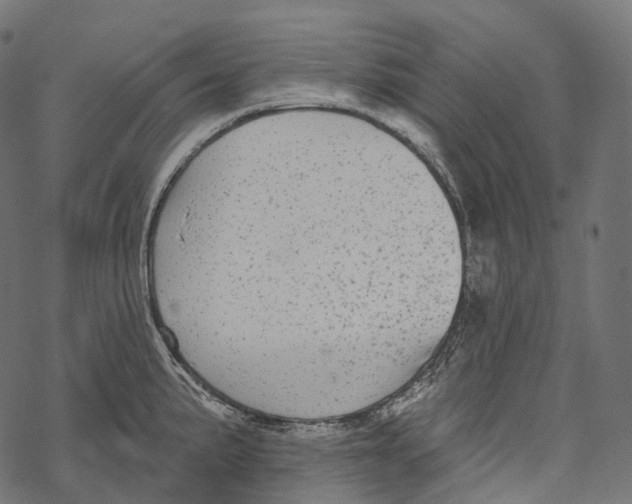 X0000067901191200605041610