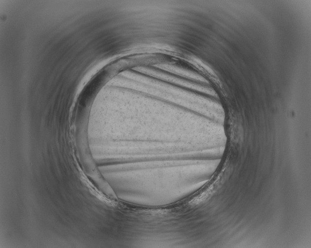 X0000067901192200605041610