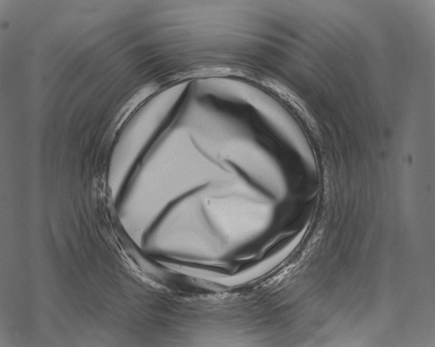 X0000067901193200605041610