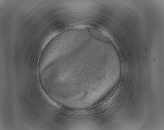 X0000067901194200605041610