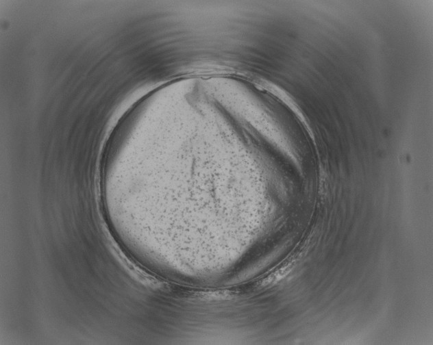 X0000067901195200605041610