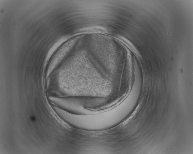 X0000067901196200605041610