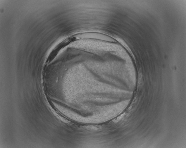 X0000067901197200605041610