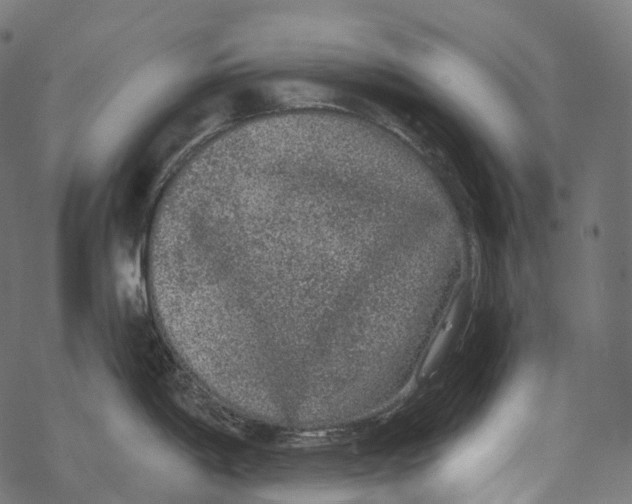 X0000067901198200605041610