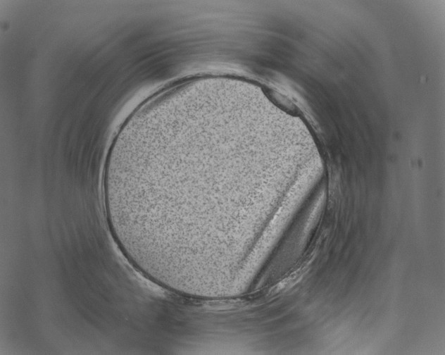 X0000067901199200605041610