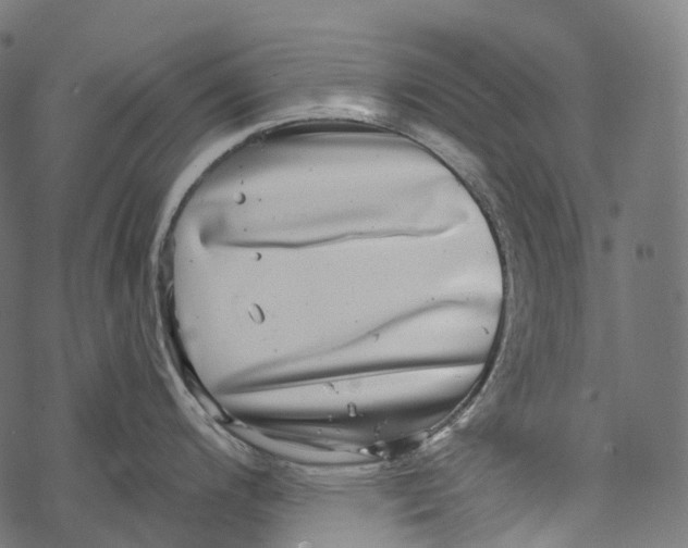 X0000067901200200605041610