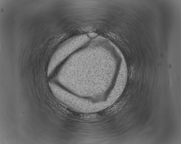 X0000067901201200605041609