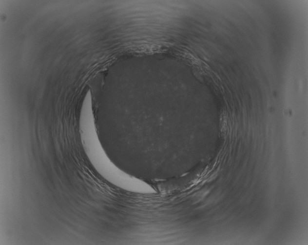 X0000067901202200605041609