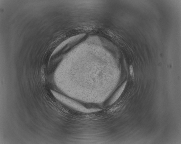 X0000067901203200605041609