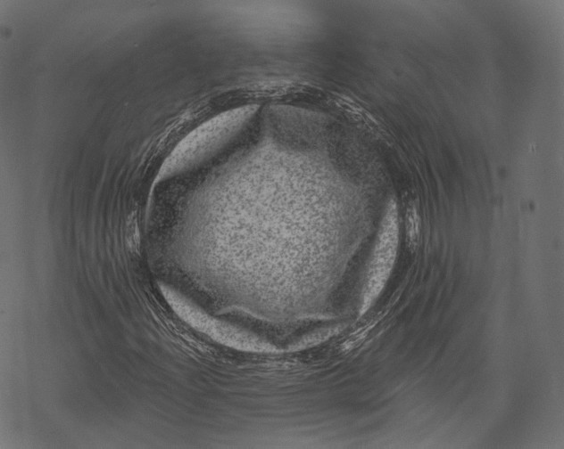 X0000067901204200605041609