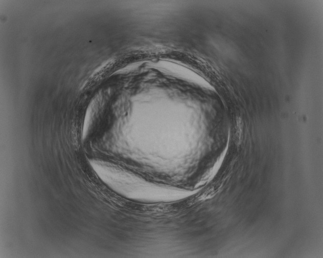 X0000067901205200605041609