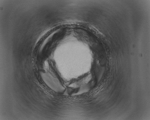 X0000067901208200605041609