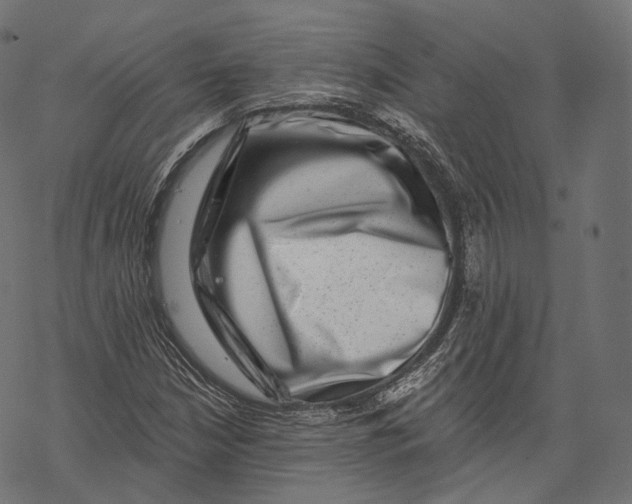 X0000067901210200605041609