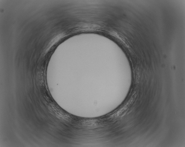 X0000067901211200605041609