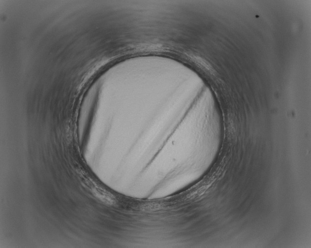 X0000067901212200605041609