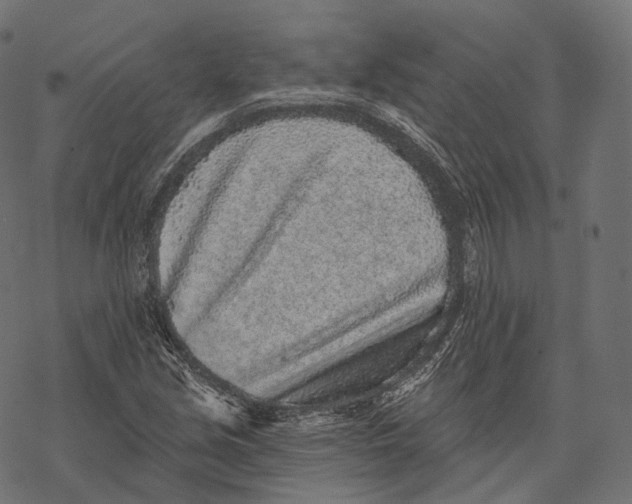 X0000067901213200605041609