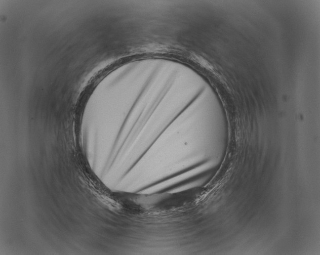 X0000067901214200605041609