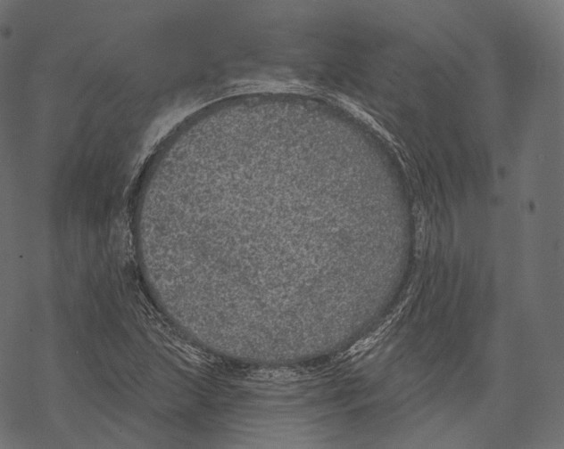 X0000067901215200605041609