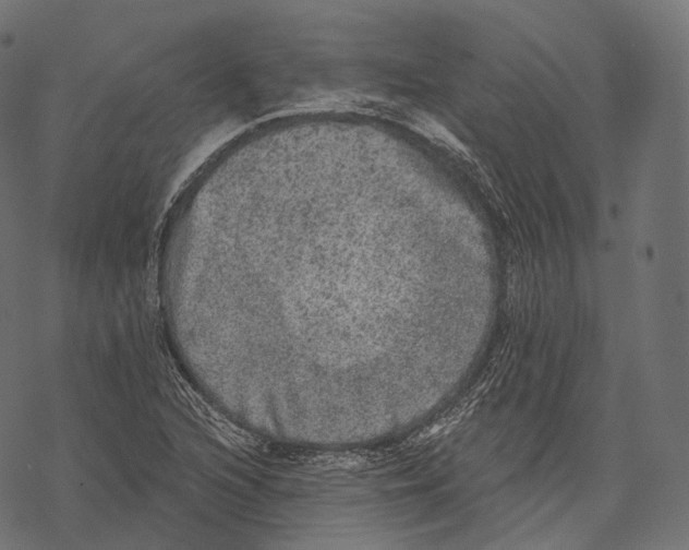 X0000067901216200605041609