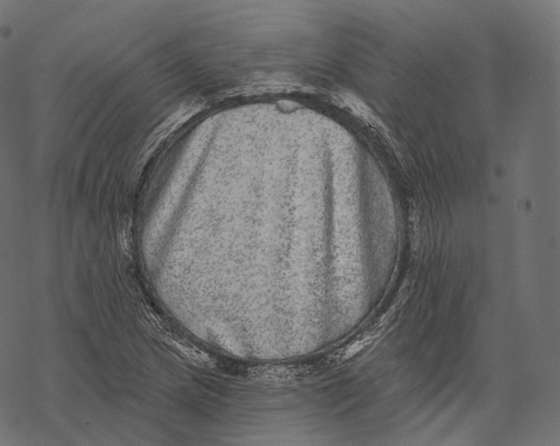 X0000067901217200605041609