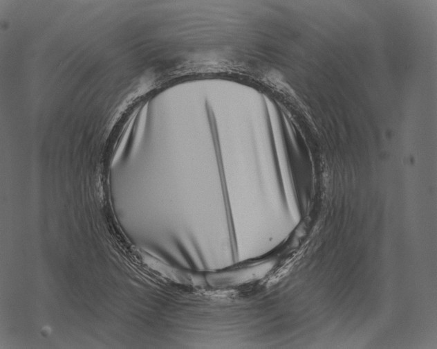 X0000067901218200605041609