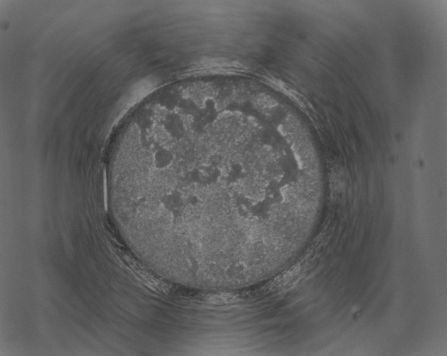 X0000067901219200605041609