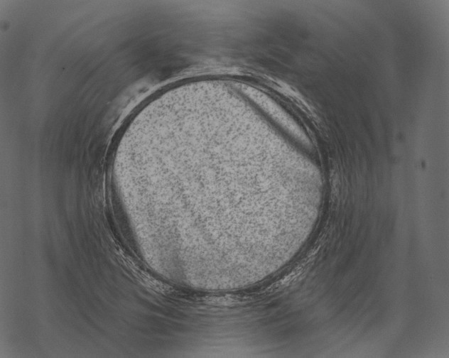 X0000067901220200605041609