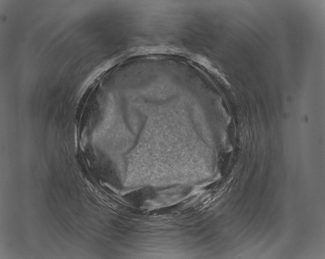 X0000067901221200605041609