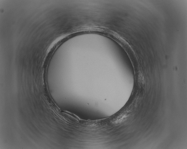 X0000067901222200605041609