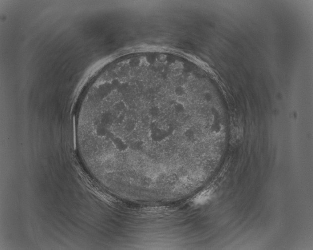 X0000067901223200605041609