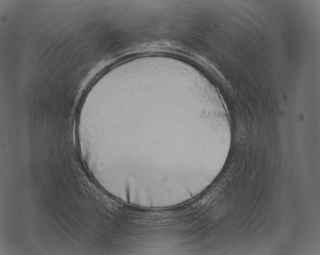 X0000067901224200605041609