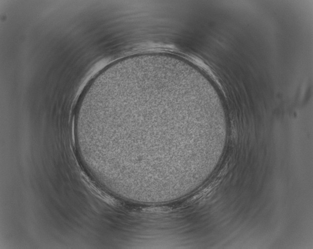 X0000067901227200605041609