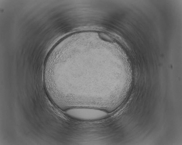 X0000067901228200605041609