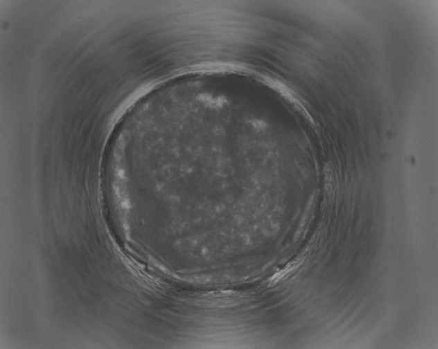 X0000067901229200605041609