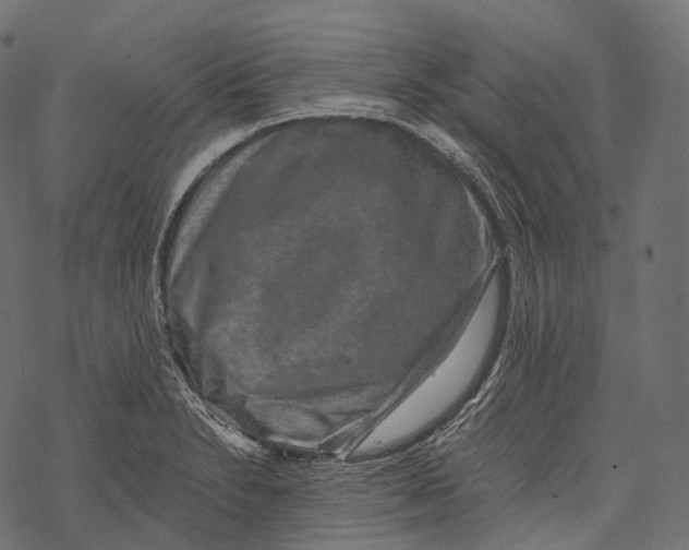 X0000067901230200605041609